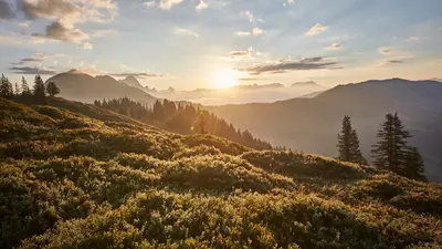 Bergpanorama bei Saalbach