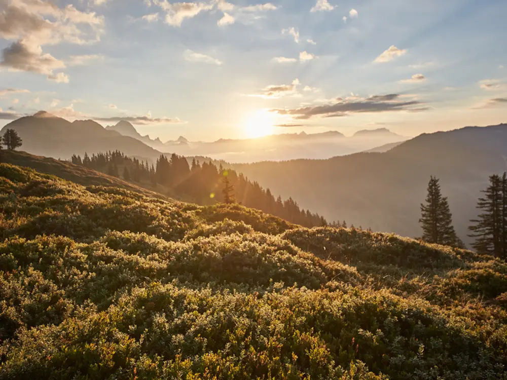 Bergpanorama bei Saalbach