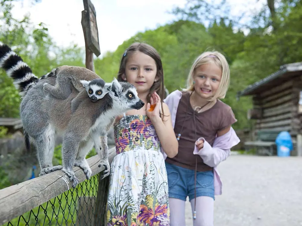 Raritätenzoo Ebbs /