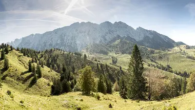 Blick auf das Naturerlebnis Kaisergebirge mit Almwiesen, Bäumen und Bergen
