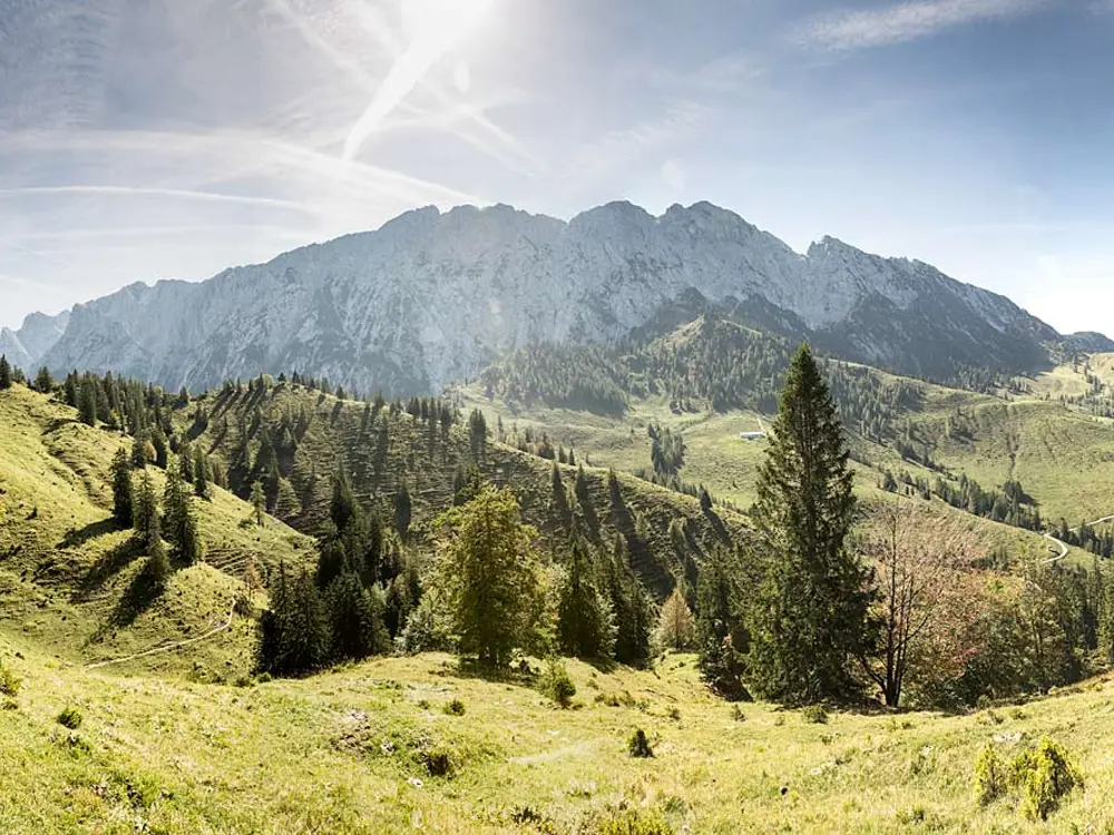 Blick auf das Naturerlebnis Kaisergebirge mit Almwiesen, Bäumen und Bergen