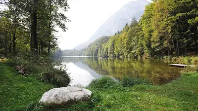 Blick auf den von Bäumen umgebenen Stimmersee bei Langkampfen
