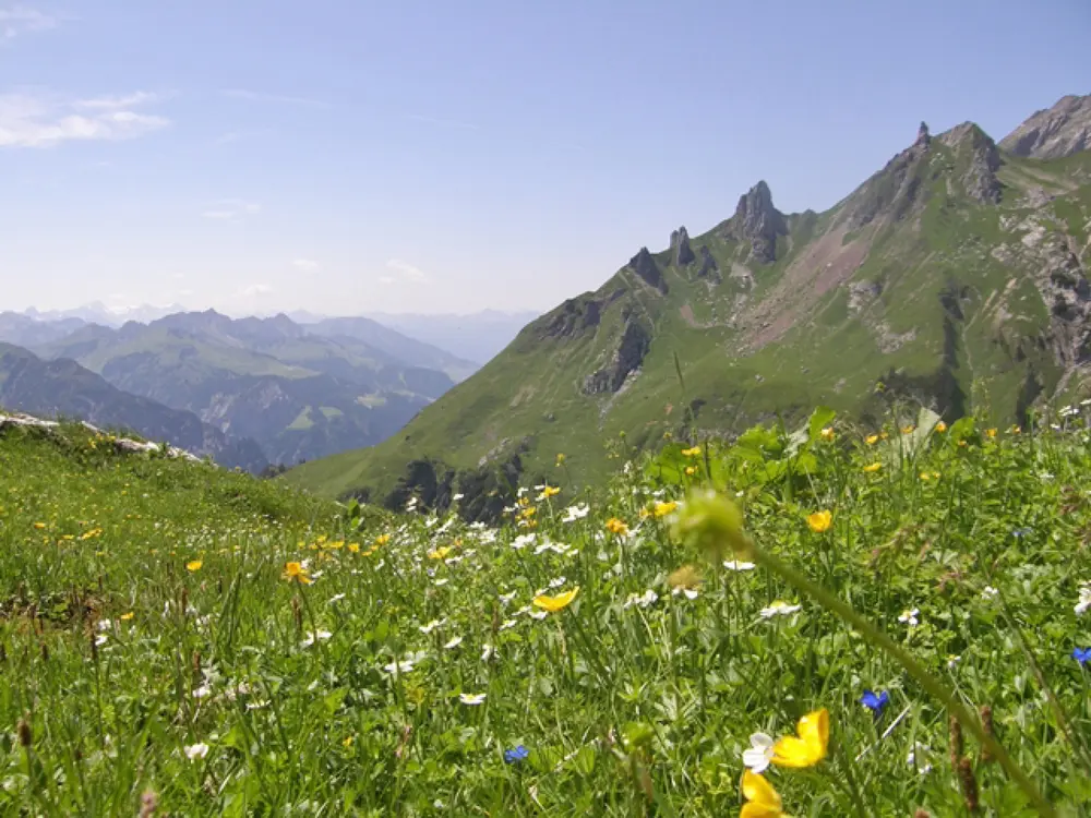 Kunkelspitzen im Großen Walsertal