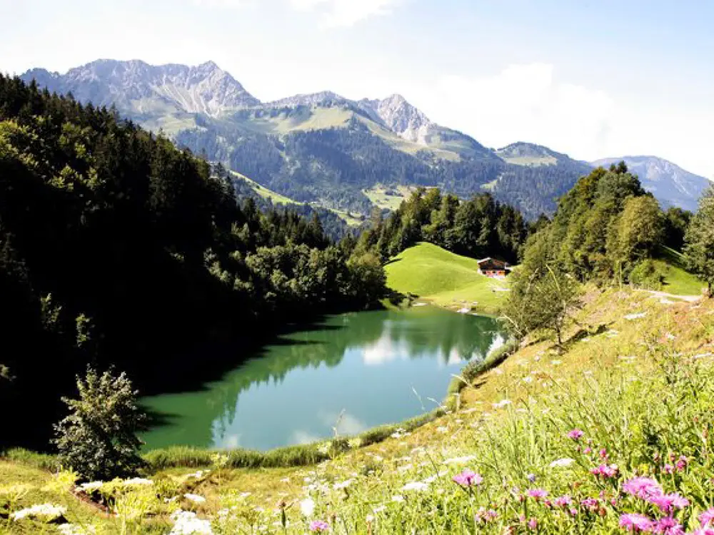 Seewaldsee im Großen Walsertal