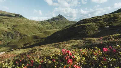 Wandern am Schafsiedel