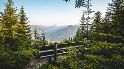 Wanderweg Rauher Kopf im Brixental