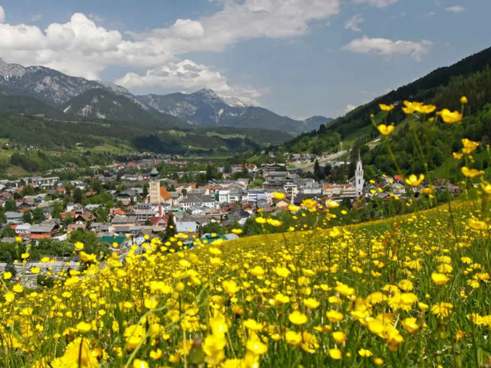 Von blühender Almwiese Blick auf Schladming mit seinen Kirchen