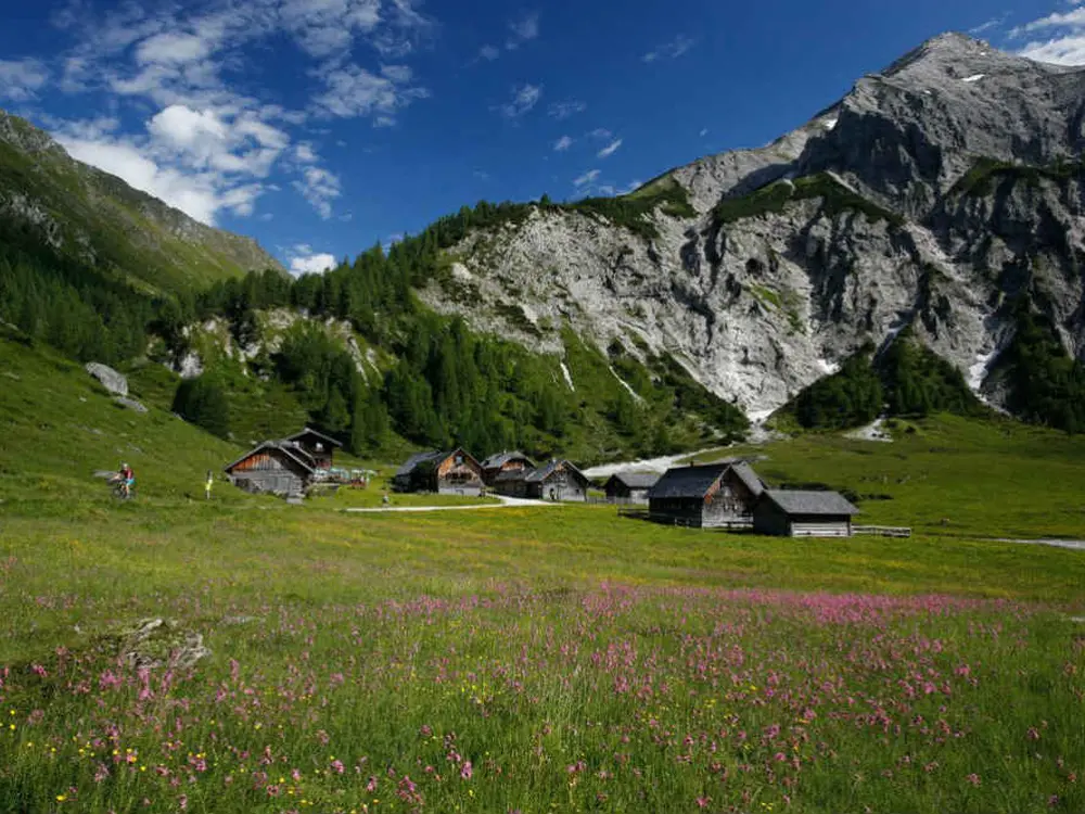 Mountainbiker und Wanderer unterwegs auf der Ursprungalm 
