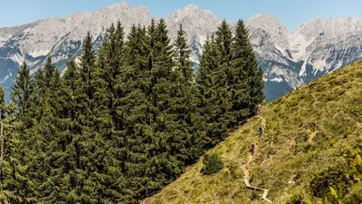 Mountainbiken in Kirchberg in Tirol