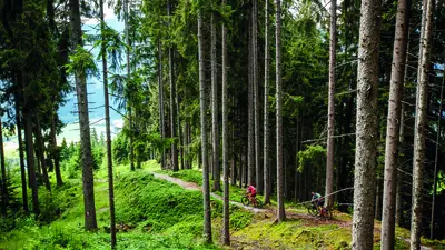 SunTrail im Brixental
