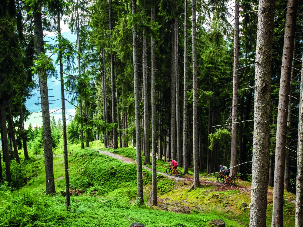 SunTrail im Brixental