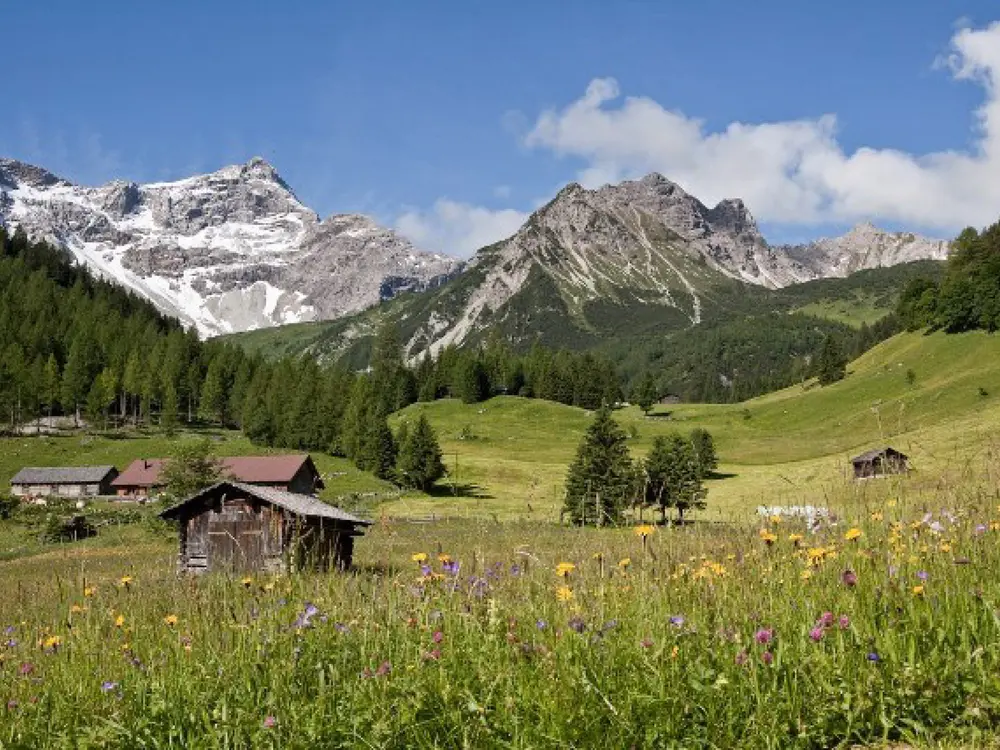 Ebene des Zalimtals im Brandnertal