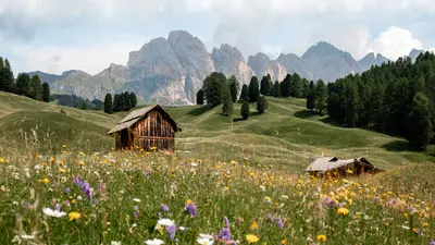 Panorama - blühende Dolomiten