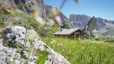 Cosy Pieralongia Hütte von Natur umgeben