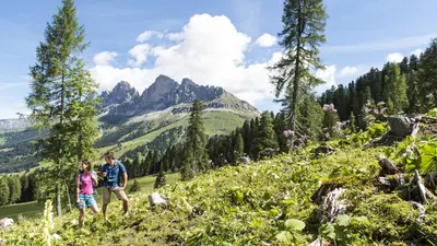 Wandern auf der Latemarwiese
