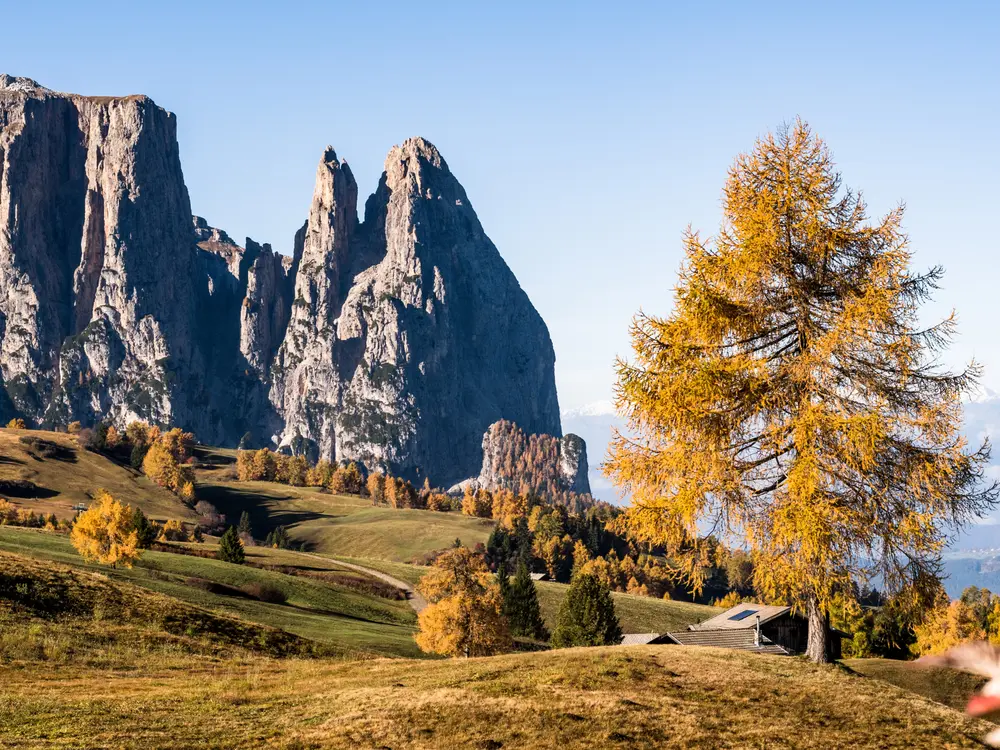 Bergmassiv und herbstliche Landschaft auf der Seiser Alm