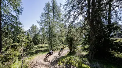 Mountainbiken am Kronplatz