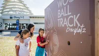 Wood Ball Track Kronplatz