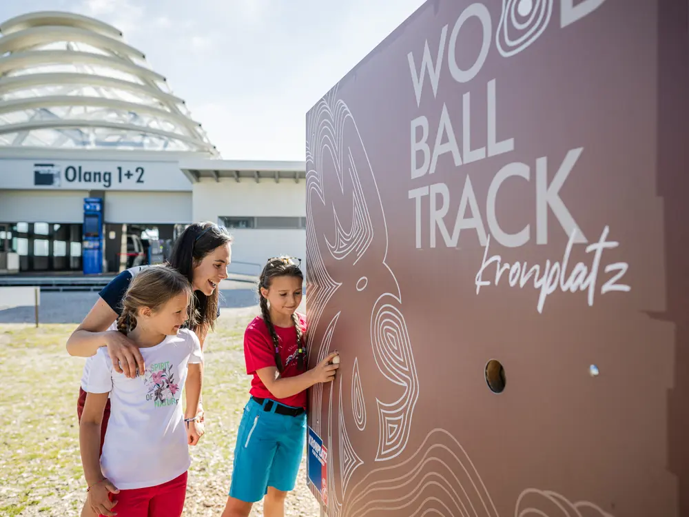 Wood Ball Track Kronplatz