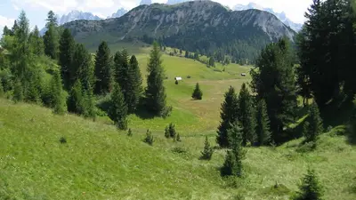 Blick auf das Hochplateau Plätzwiese vor den Dolomiten im Naturpark Fanes-Sennes-Prags