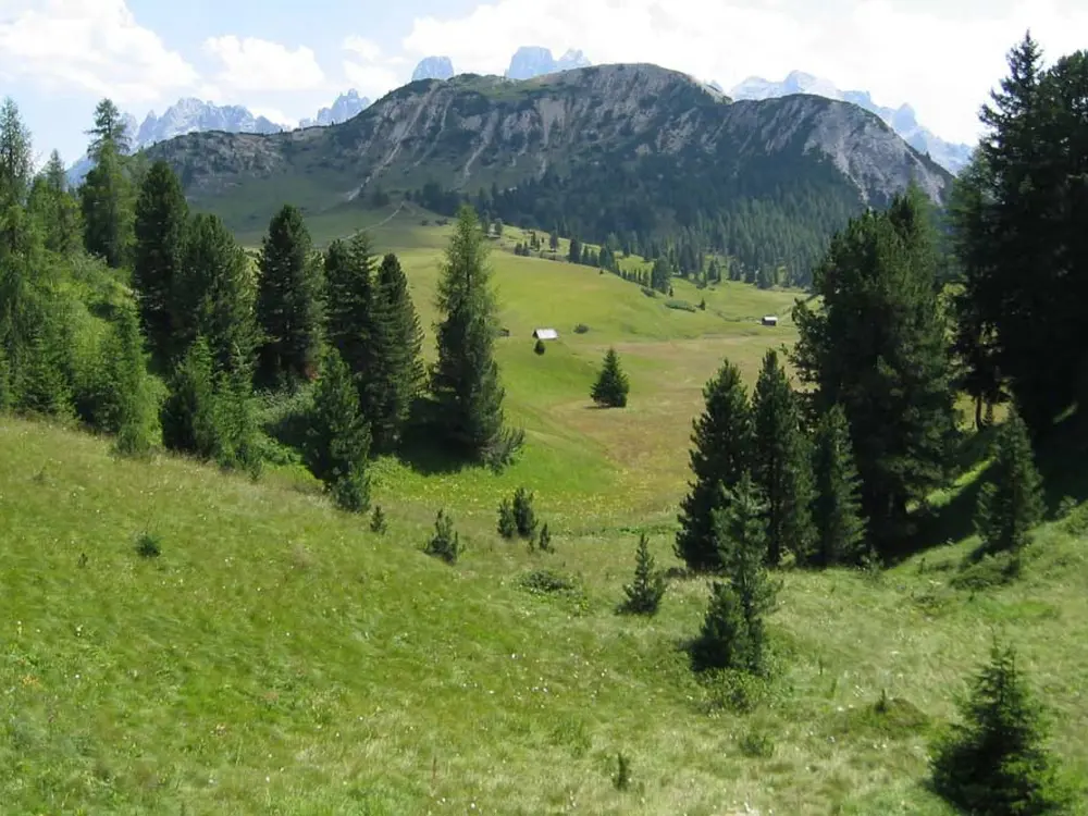 Blick auf das Hochplateau Plätzwiese vor den Dolomiten im Naturpark Fanes-Sennes-Prags