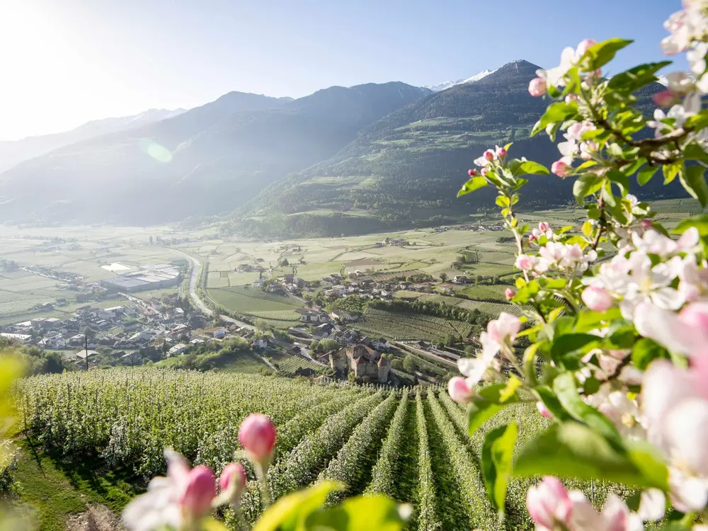 Frühling im Vinschgau