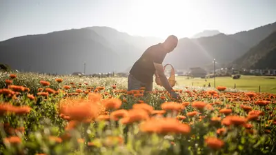 Impressionen aus dem Vinschgau