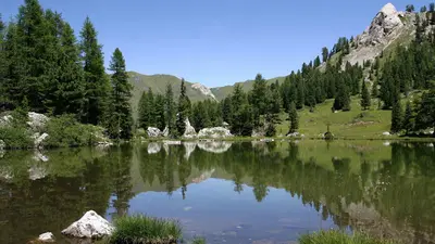 Blick auf den Lauscel See