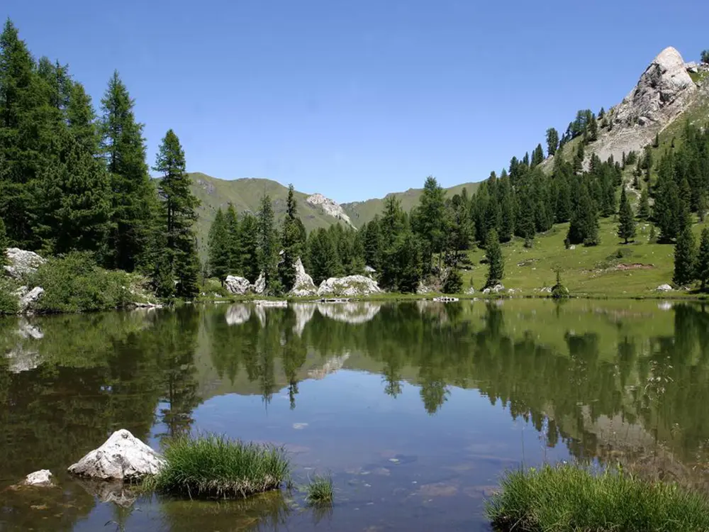 Blick auf den Lauscel See