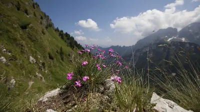 Nationalpark der Belluneser Dolomiten