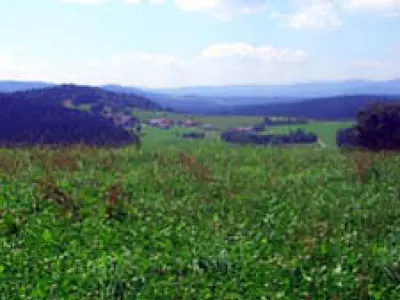 Dreieck, Regen Richtung Schwarzach
