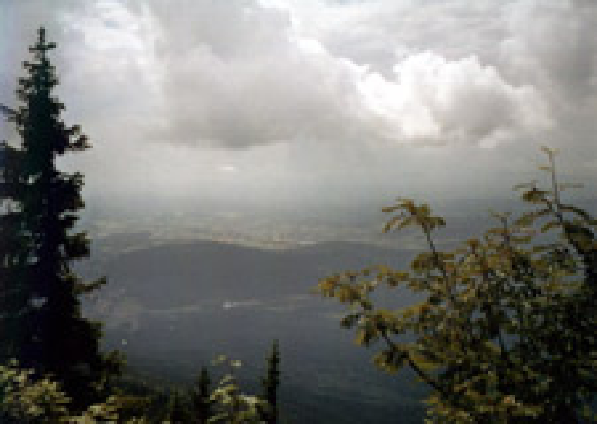 Blick vom Großen Falkenstein