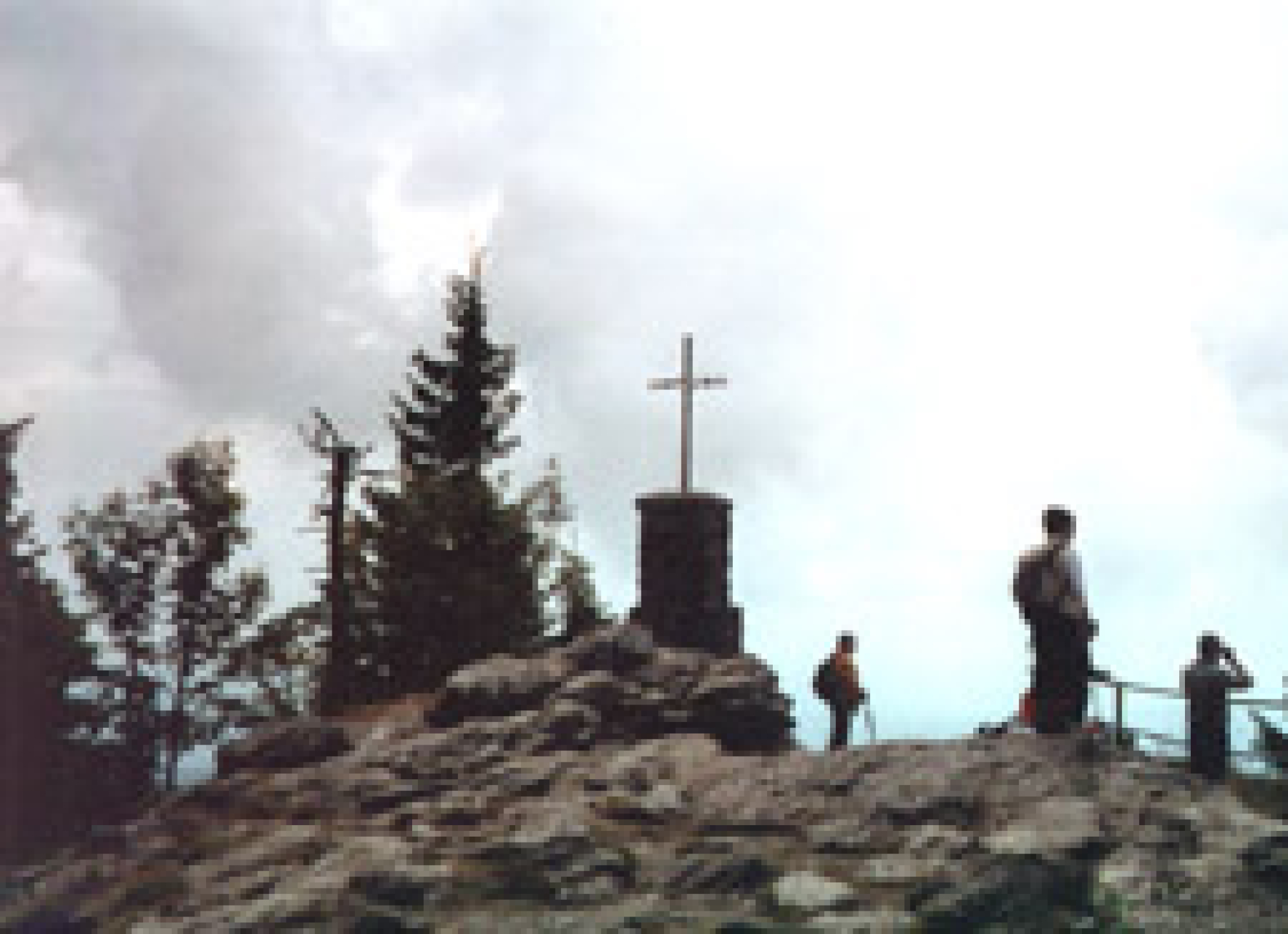 Gipfel des Großen Falkenstein