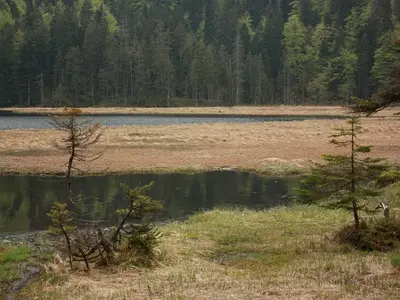Bayerisch Eisenstein-Großer Arbersee