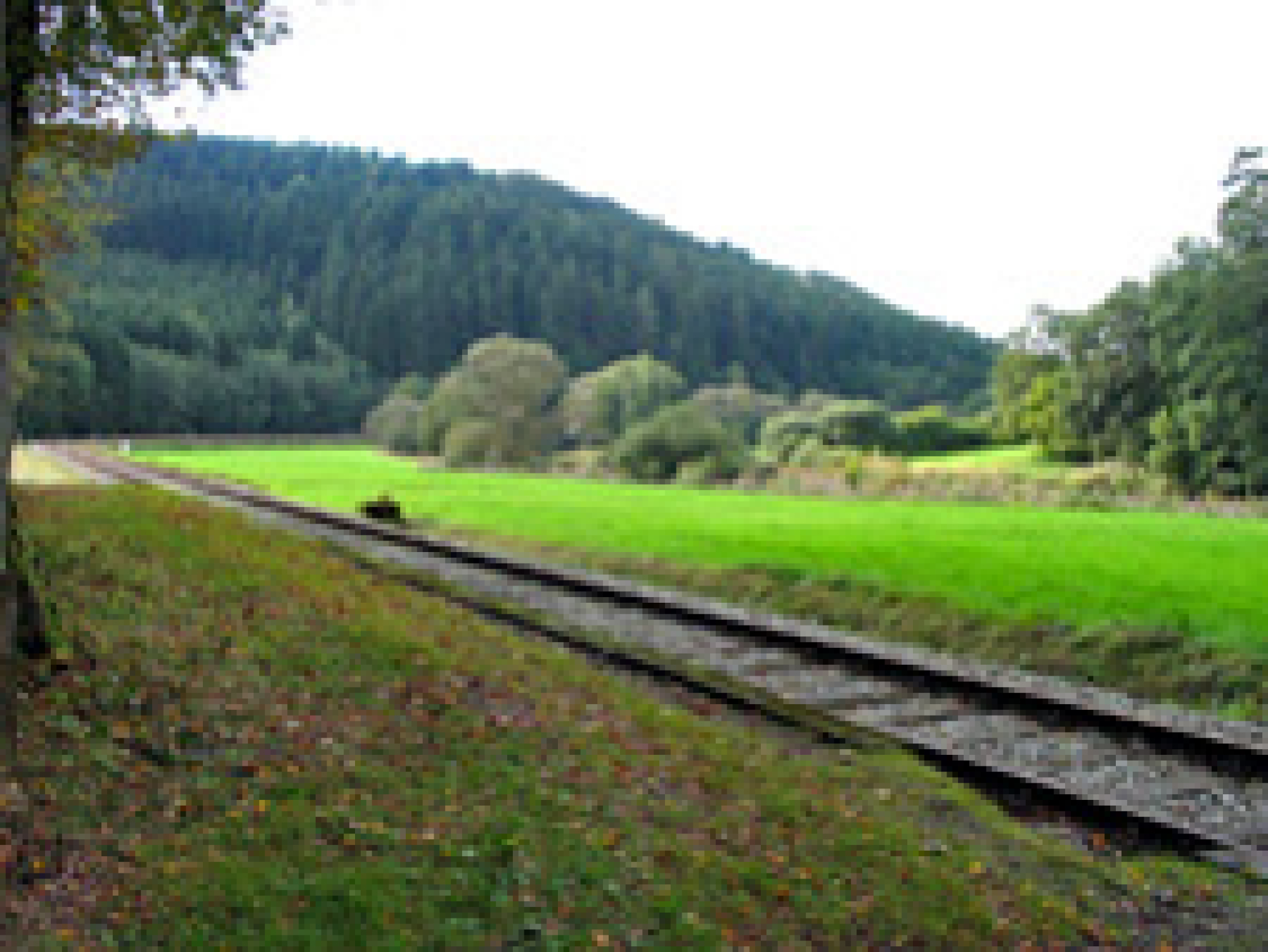 Ausblick auf die Gleise der Museumsbahn