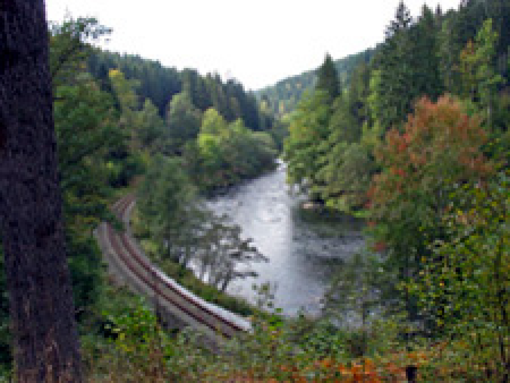 Ausblick auf das Flusstal des Schwarzen Regens