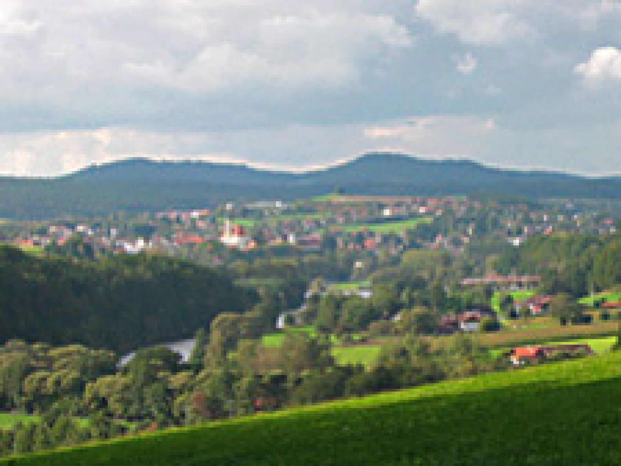 Aussicht auf Viechtach