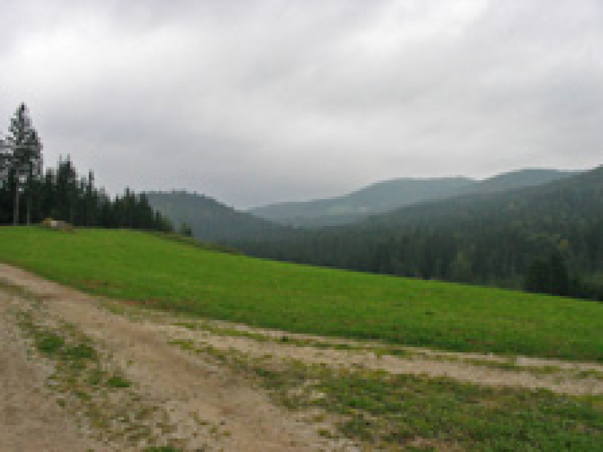 Ausblick von Oltmannsau - Jägerhaus