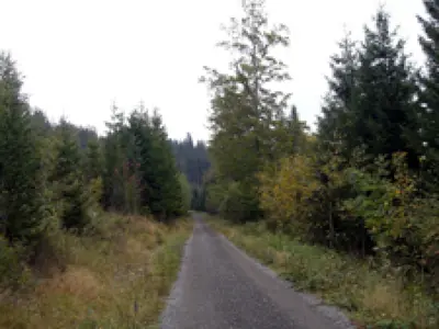 Großer Arber - Nr. 9
