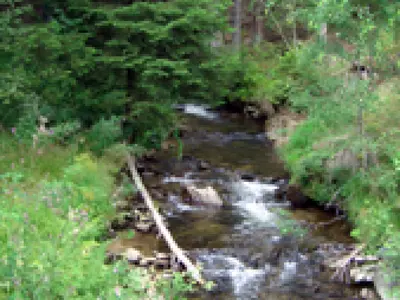Großer Arbersee