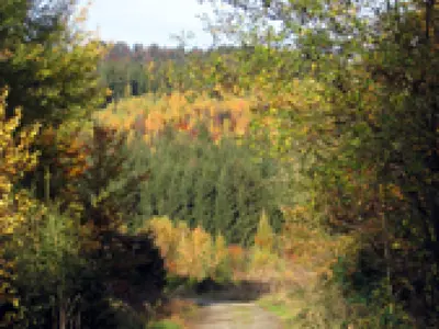 Oberauerkiel