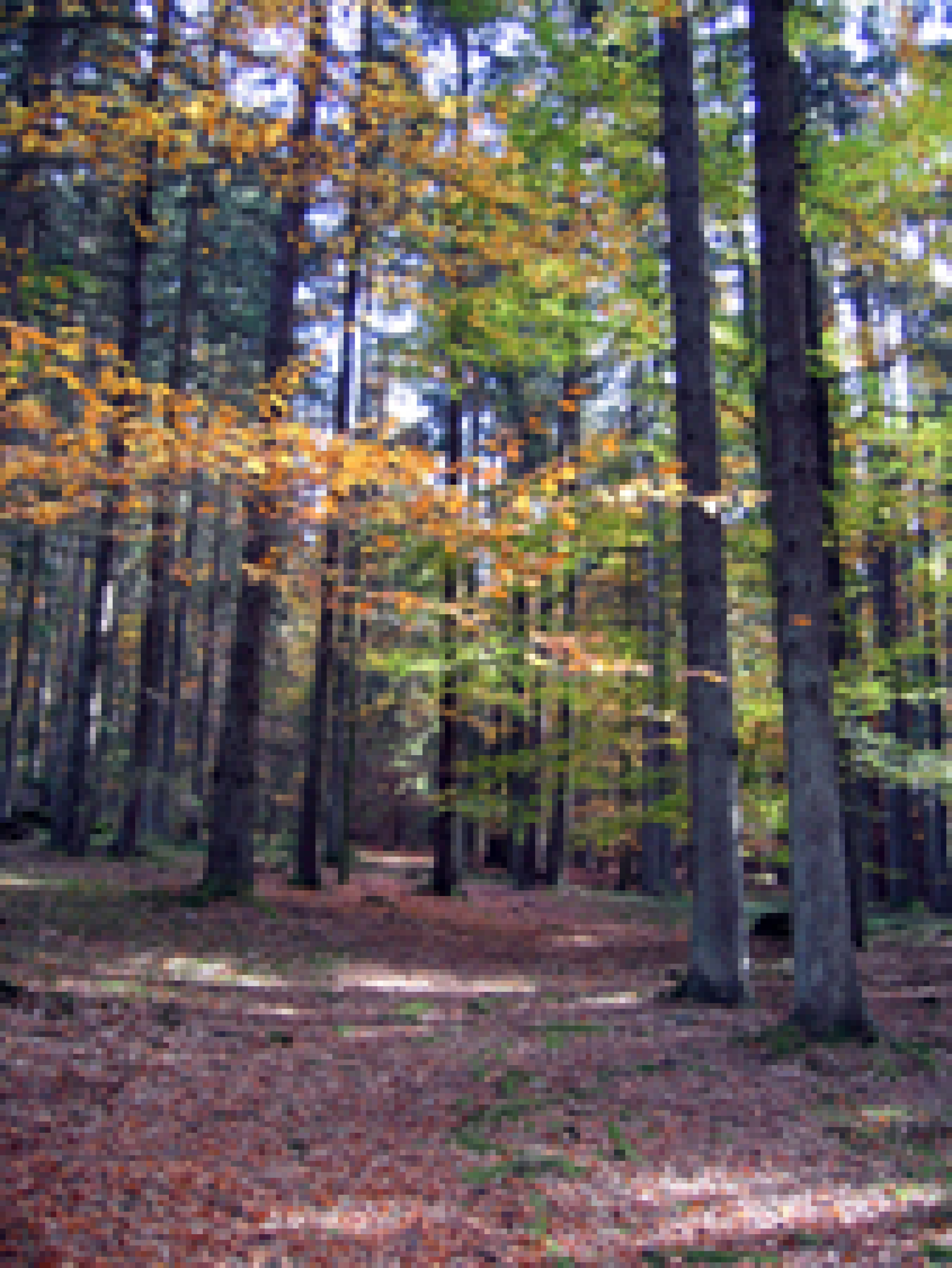 Entlang des Weges