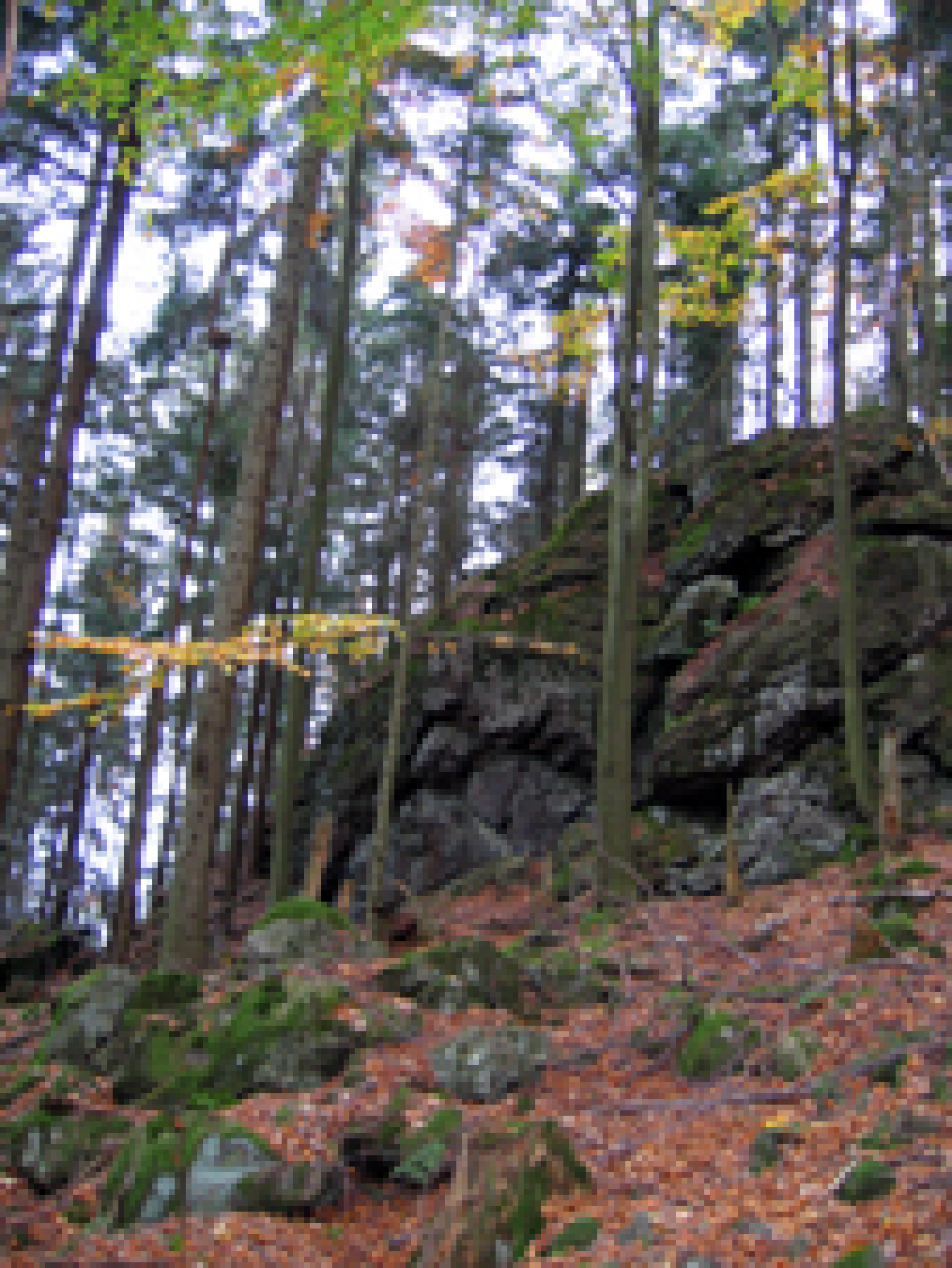 Felsformation auf dem Harlachberg