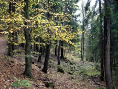 Frath - Tausender Straße