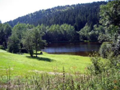 Waldtour Nr. 88