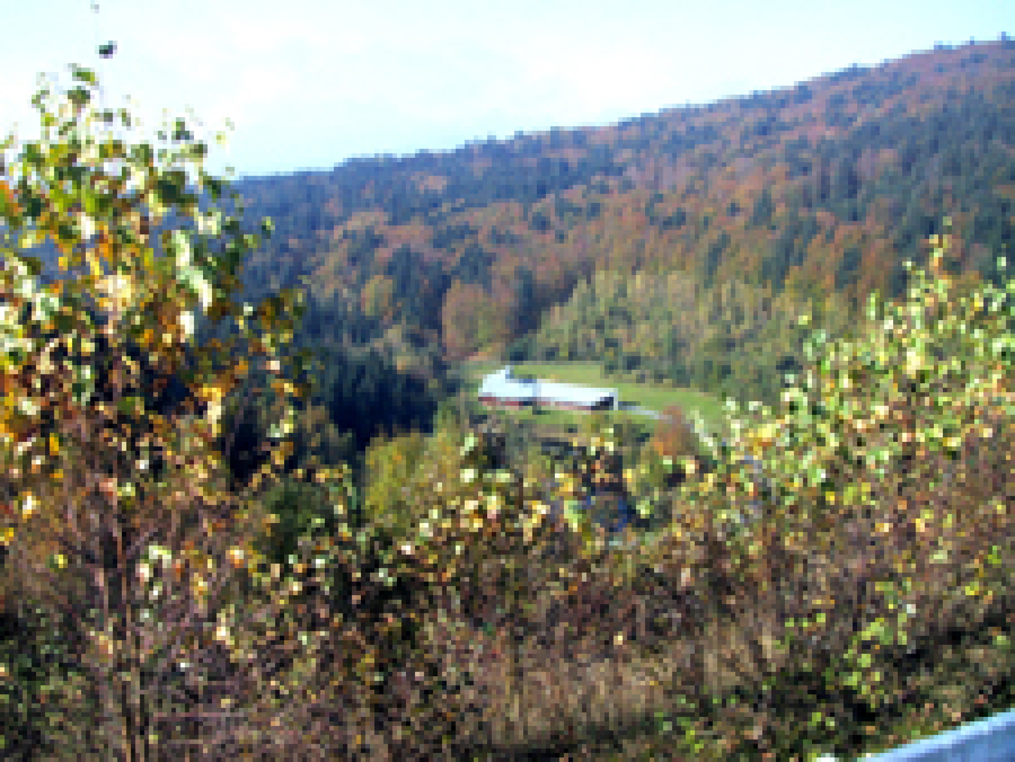 An der Trinkwassertalsperre Frauenau