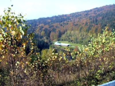 Radwander-Tour Trinkwassertalsperre Frauenau Nr. 99