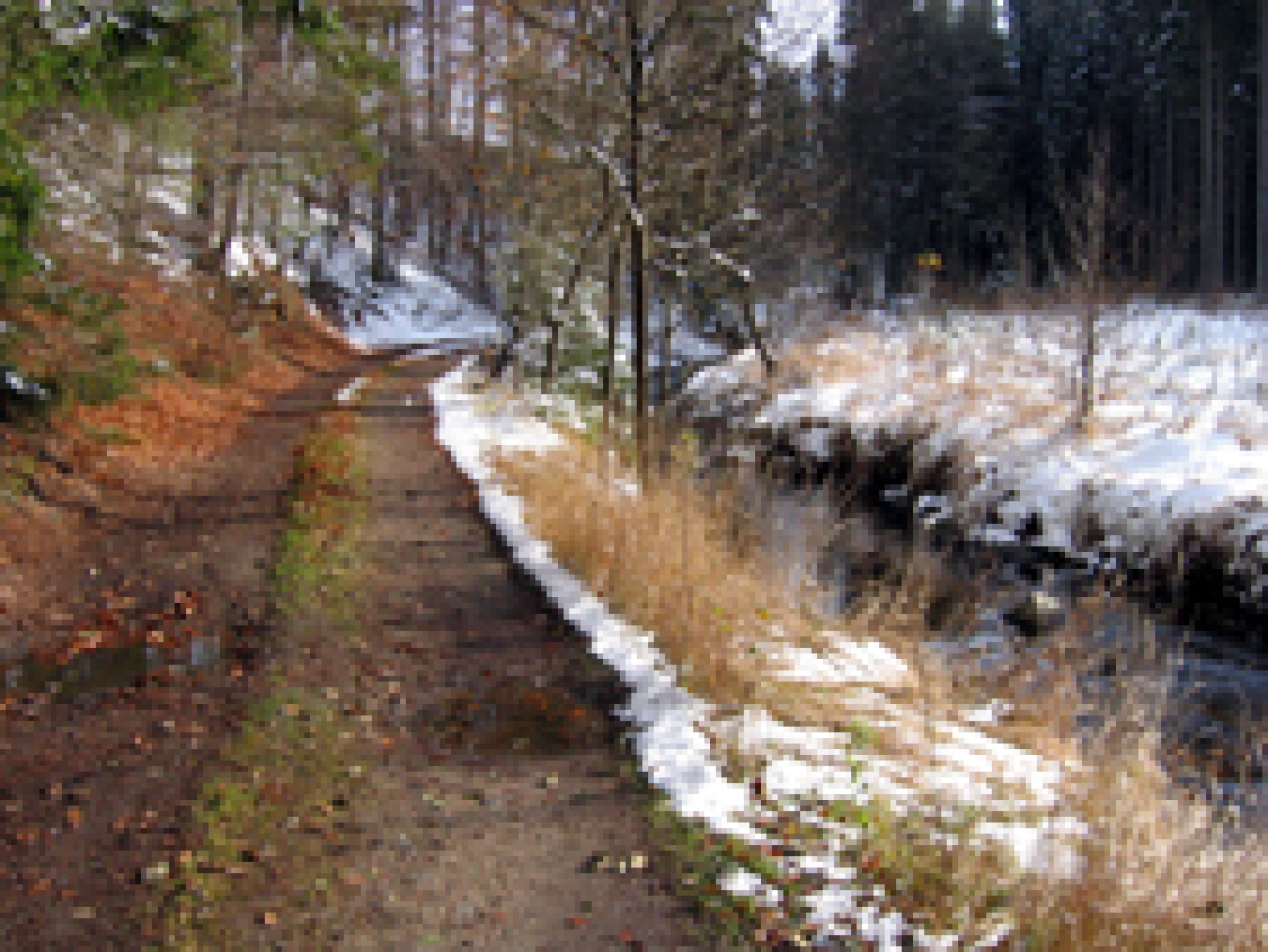 Entlang der Flanitz