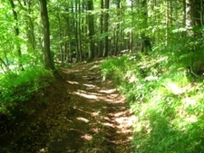 Hermannsau - Geyersberg
