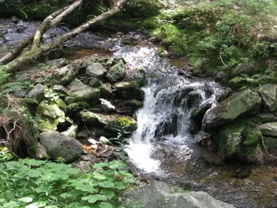 Großer Falkenstein Nr. 7